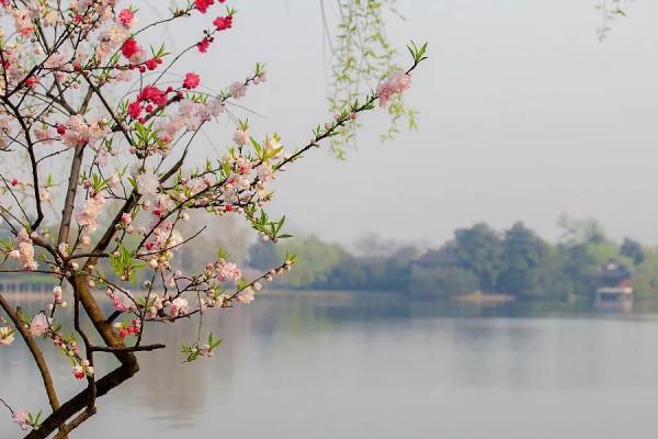 絕美西湖美景太美了