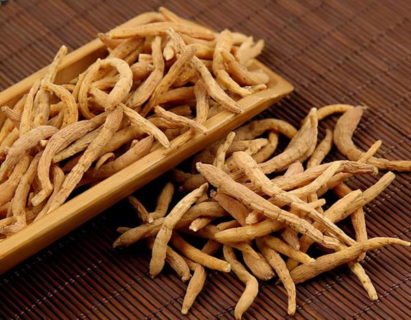 “虛不受補”的人，冬天該如何進補？