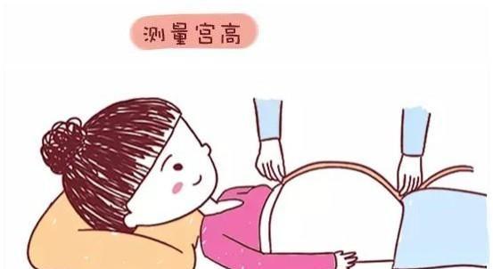 胎兒體重是怎麼算的,為啥和出生時的體重有差距?大夫:這不怪我 胎兒體重是怎麼算的,為啥和出生時的體重有差距?大夫:這不怪我