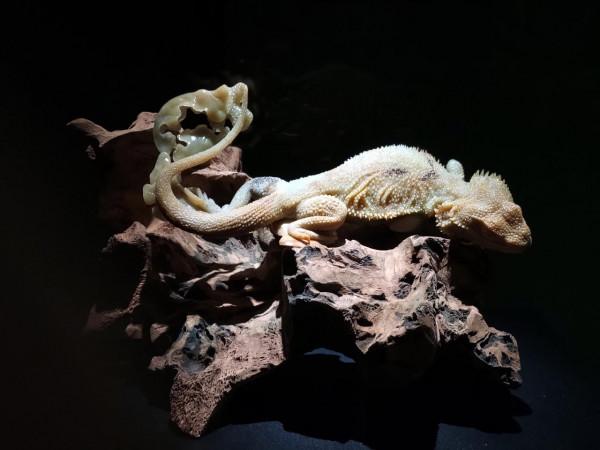 來到岫巖地區,才知道岫巖玉是中國國家地理標誌產品 來到岫巖地區,才知道岫巖玉是中國國家地理標誌產品