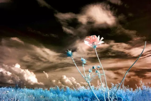 品,秋的味道 品,秋的味道