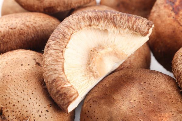 冬至過後三九天,常吃“三冬三黑”,順應時節身體好,早知早受益 冬至過後三九天,常吃“三冬三黑”,順應時節身體好,早知早受益