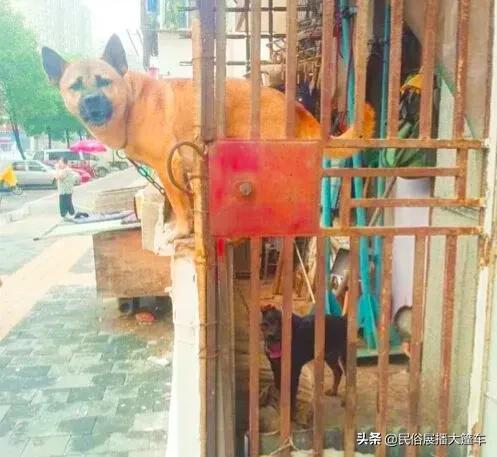 廣東18怪，怪的好可愛