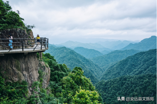 江西這個98%森林覆蓋率的“天然氧吧”,年均氣溫15.1℃,雲端之上的絕美林海超治癒! 江西這個98%森林覆蓋率的“天然氧吧”,年均氣溫15.1℃,雲端之上的絕美林海超治癒!