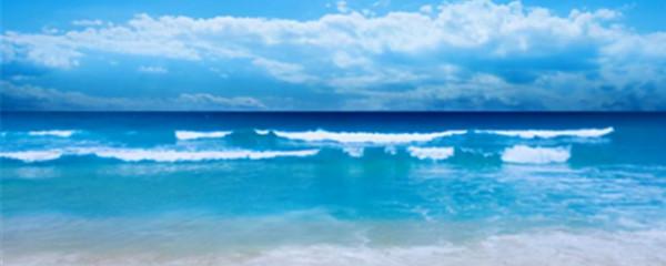 一招輕鬆減肥 一招輕鬆減肥