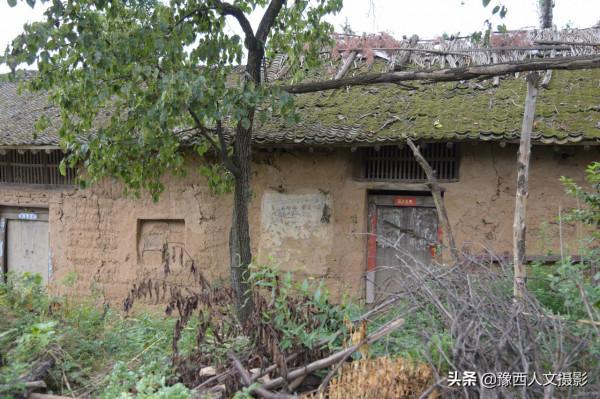 野豬賴上舊屋跟村民做鄰居，山裡人略施計謀，兇猛野豬變溫順家畜