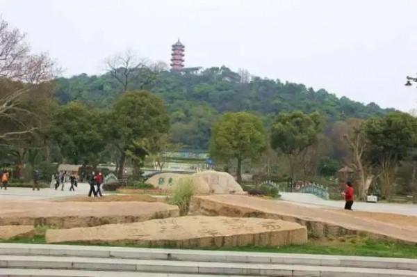 佘山、惠山、天目山、黃山……長三角這些山,你攀登過幾座? 佘山、惠山、天目山、黃山……長三角這些山,你攀登過幾座?