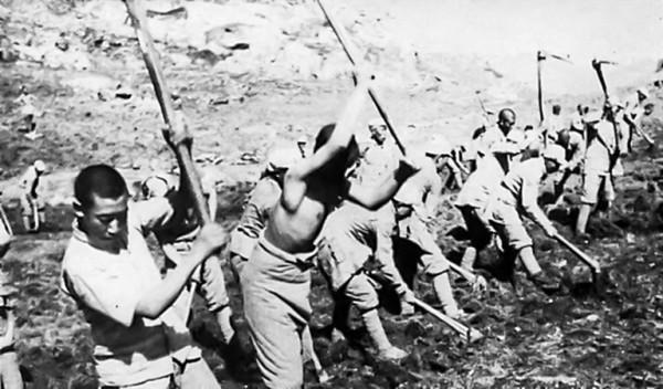 模範根據地 戰略大後方——抗日戰爭時期的隴東根據地建設 模範根據地 戰略大後方——抗日戰爭時期的隴東根據地建設