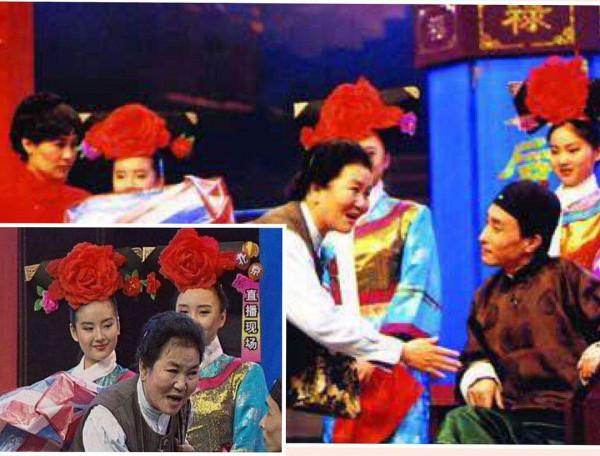 跟趙麗蓉演小品，和謝霆鋒扮夫妻，和趙本山搭戲，董潔憑什麼？