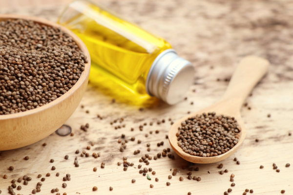 生活道冬季養生話紫蘇 生活道冬季養生話紫蘇