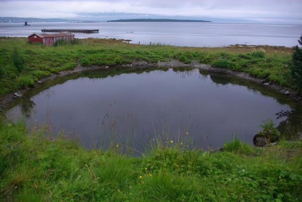 在北方女王的陰影下——擊沉“提爾匹茨”號的不懈努力 在北方女王的陰影下——擊沉“提爾匹茨”號的不懈努力
