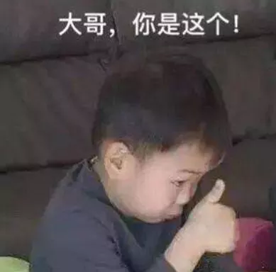 他是貝斯星域的無冕之王，說一不二的“逗比”領導人