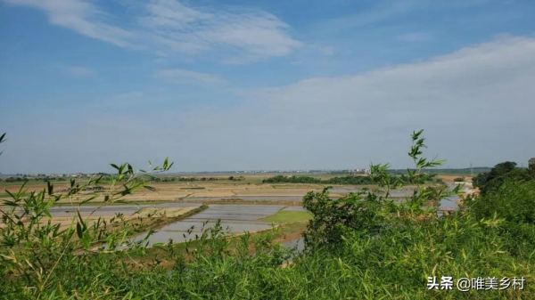 農村土地要統一耕種，小農戶怎麼辦？兩種選擇，大小農業做引領