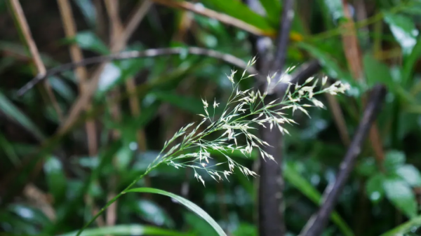 冬天進補，我們到底要補什麼？