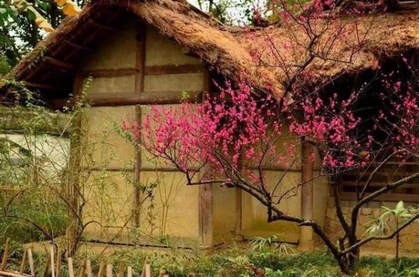 “咚咚咚”鄰居來敲門