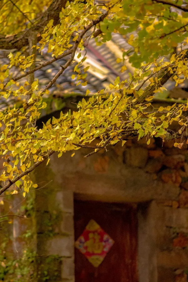 12月必去的7個古鎮,每一個都美到不想離開,閒了就去小住幾日吧 12月必去的7個古鎮,每一個都美到不想離開,閒了就去小住幾日吧