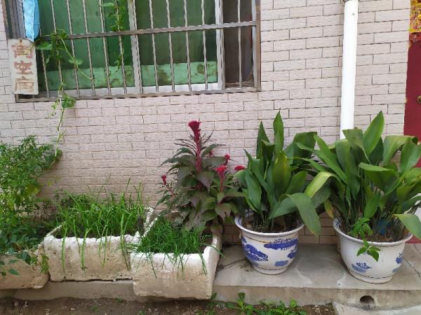 嬰兒按天精確算，老人按年大概算