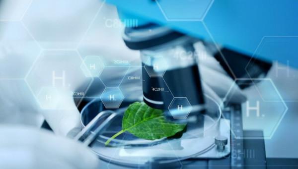 乙肝藥物研發實驗,透過終點稀釋法,確定一類新型抑制劑 乙肝藥物研發實驗,透過終點稀釋法,確定一類新型抑制劑