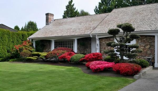 庭院裡的種樹真的很簡單？不不不，其實大有說法