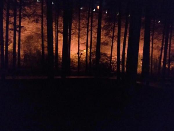 明月千古 江山依舊