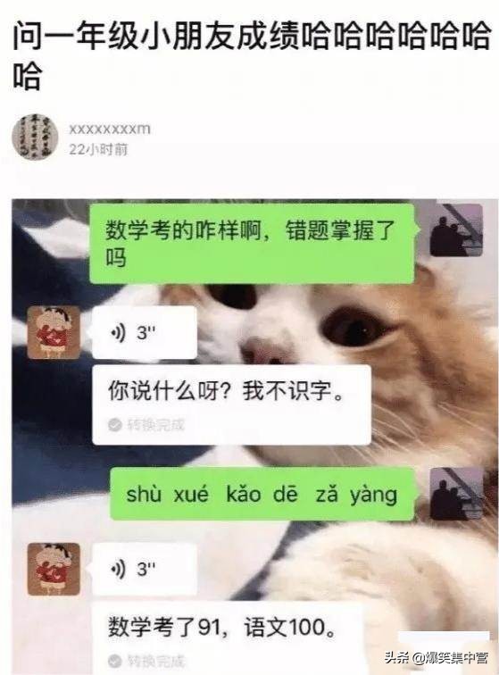 “鄭爽和吳亦凡打架,打一成語?”我快被網友的腦洞笑死了,哈哈 “鄭爽和吳亦凡打架,打一成語?”我快被網友的腦洞笑死了,哈哈