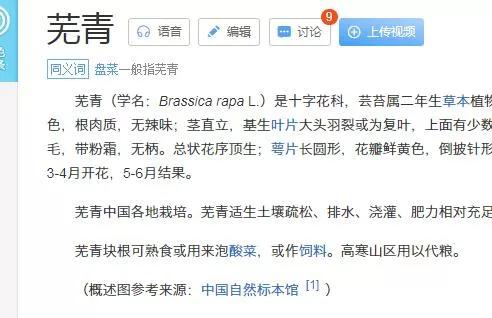 溫州有個神奇的菜叫盤菜，學名蕪青，溫州人特別愛吃，你見過沒？