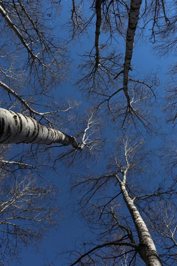 北京懷柔喇叭溝門原始森林遊記