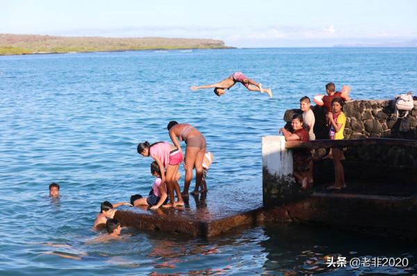 我拍的10種動物,你能認出一半就很厲害了 我拍的10種動物,你能認出一半就很厲害了