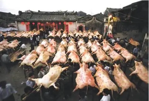 見過潮汕賽大豬，就明白了美學的奧秘