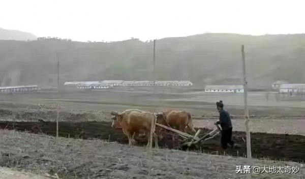 &OpenCurlyDoubleQuote;朝鮮&rdquo;現狀，雖然很扎心，但卻很真實