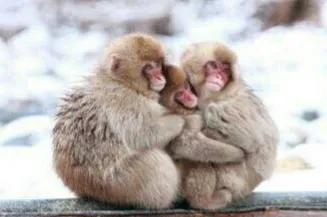 冬天雖冷,因為有你相擁而溫暖 冬天雖冷,因為有你相擁而溫暖