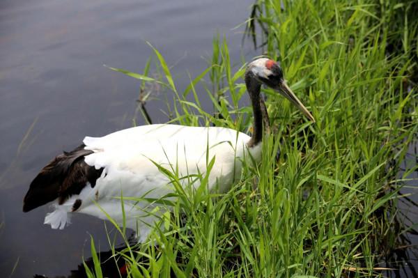 自駕十年(2013)——阿爾山踏青( 四) 自駕十年(2013)——阿爾山踏青( 四)