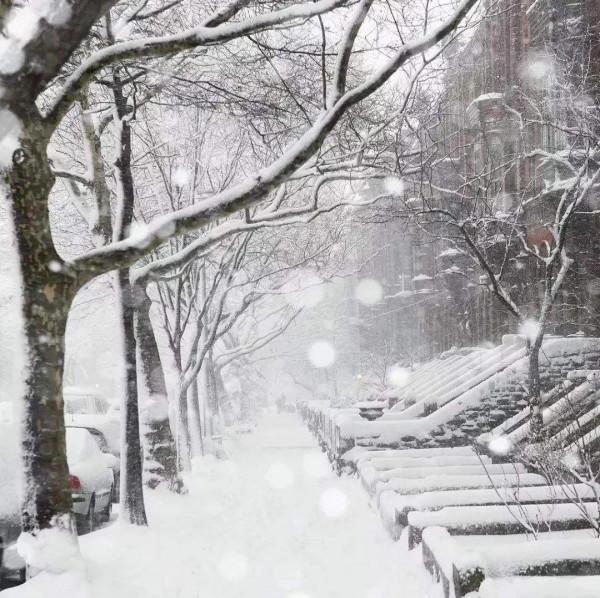 同學聚會你會去嗎? 同學聚會你會去嗎?