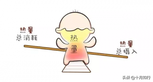 代謝對減脂有什麼影響，如何提高你的代謝？