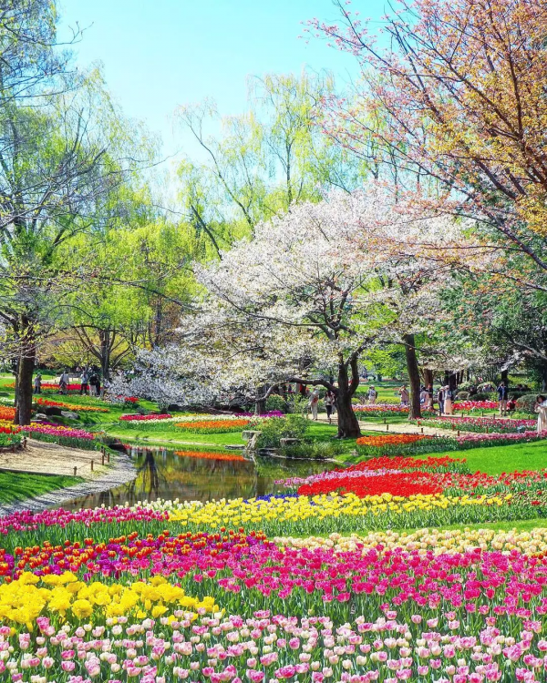 花花世界，美若仙境