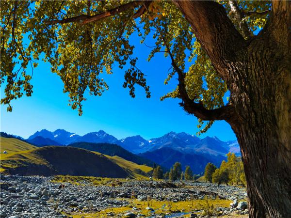 新疆天山山脈進入秋季，色彩斑斕