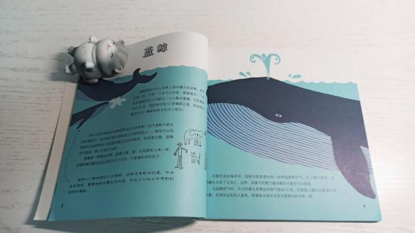 一本既能學知識,又能做手工的兒童動物書 一本既能學知識,又能做手工的兒童動物書