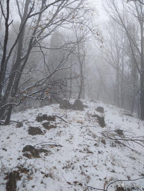 驢行泰山之初雪獨行