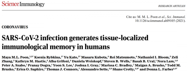 《科學》子刊:首次在人體找到對新冠有長期免疫記憶的證據!科學家在新冠患者的肺及周圍的淋巴結中發現新冠特異性生髮中心丨科學大發現 《科學》子刊:首次在人體找到對新冠有長期免疫記憶的證據!科學家在新冠患者的肺及周圍的淋巴結中發現新冠特異性生髮中心丨科學大發現