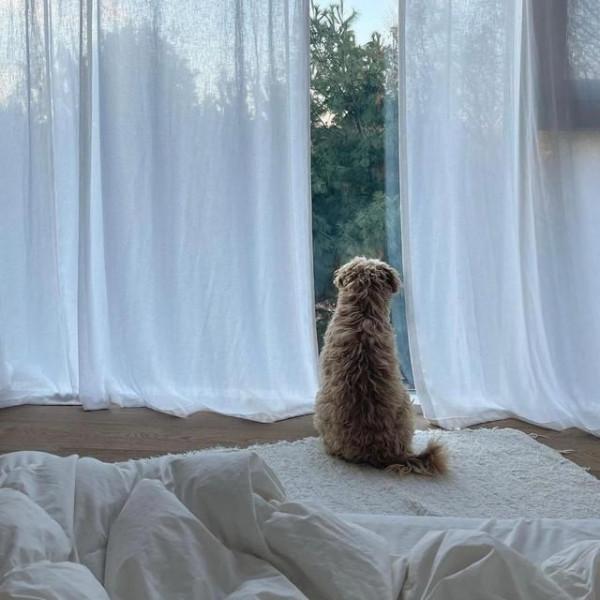 90後韓國女主曬獨居生活照:悠閒精緻,在她家看見歲月靜好的模樣 90後韓國女主曬獨居生活照:悠閒精緻,在她家看見歲月靜好的模樣