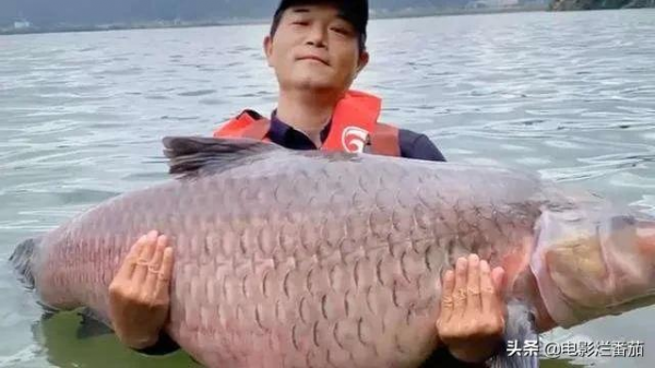 90年代放棄20萬年薪專職釣魚，“中國釣王”鄧剛，現在怎麼樣了？