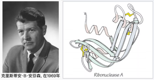 “諾獎值得”系列:蛋白質摺疊的分子伴侶誕生記 “諾獎值得”系列:蛋白質摺疊的分子伴侶誕生記