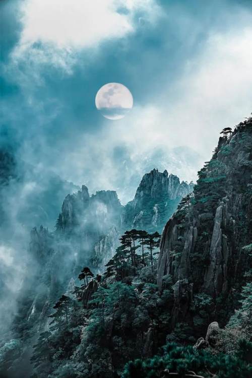 20首詩詞的優美瞬間，哪個最打動你？