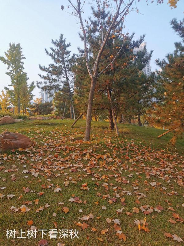 七彩之體育公園