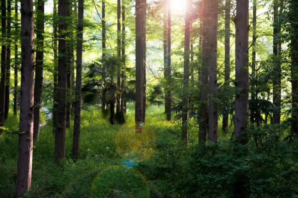 感謝各位作家大神，我的年終總結有著落了