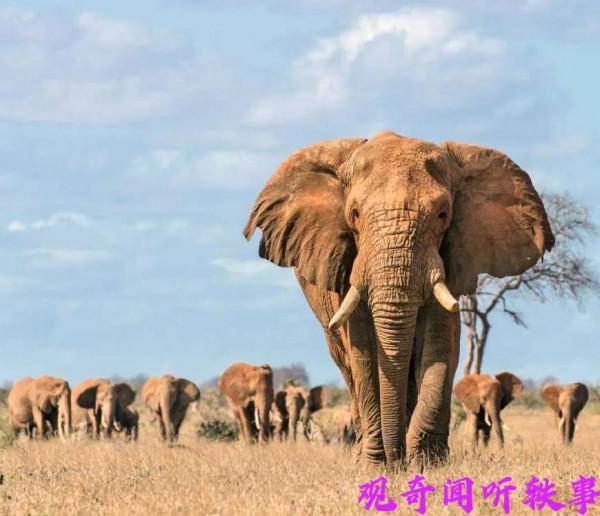 世界上那些預測到自己離世日期的名人們 前美國總統林肯