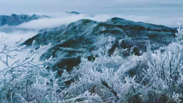 初冬寒色深,心有想兮,遂何心 初冬寒色深,心有想兮,遂何心