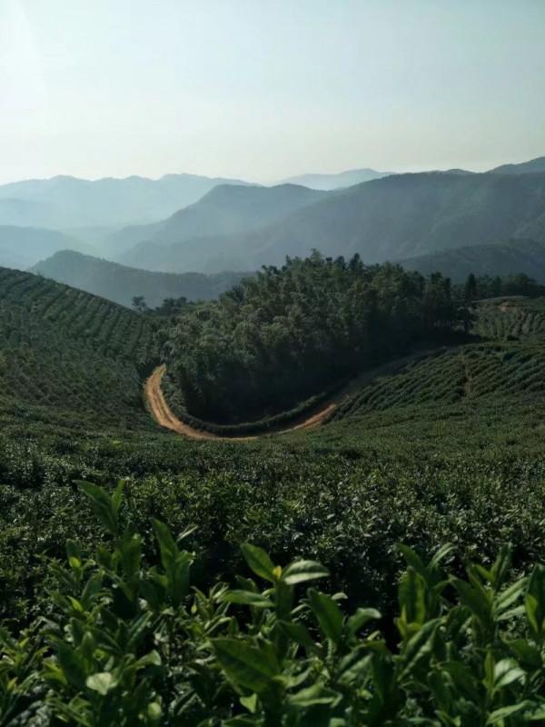 國慶騎遊D2天——紅旗峰