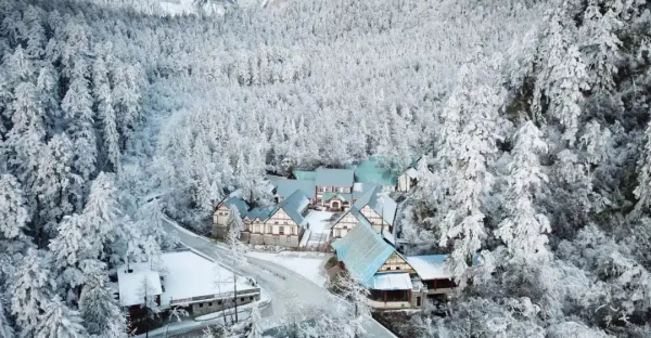 抓住年末的尾巴，計劃一場“冬日旅行”，不然又要拖到明年啦