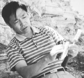 恐龍正在我們的頭上飛